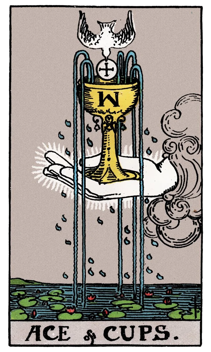 Ace of Cups tarot card - represents new love, emotional awakening, and creativity