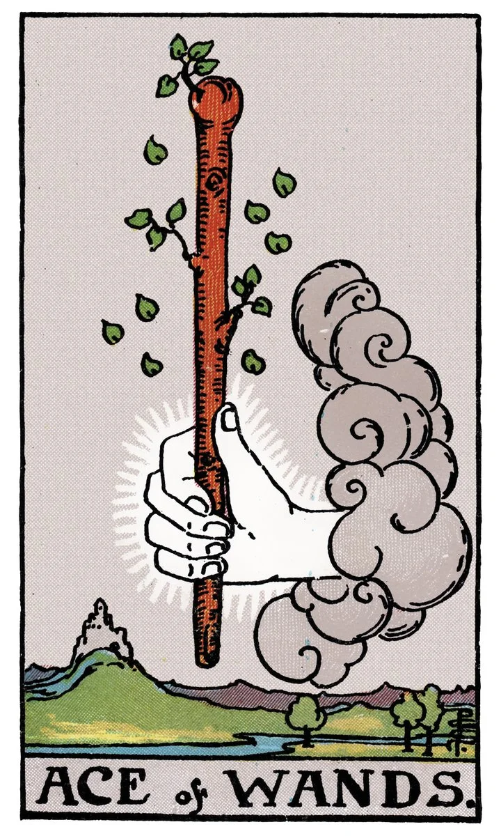 Ace of Wands tarot card - represents inspiration, new opportunities, and growth