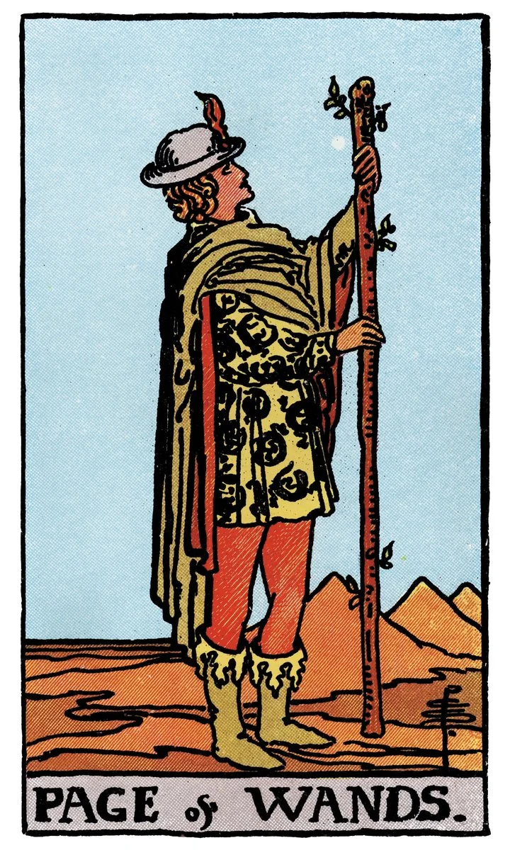 Page of Wands tarot card - represents enthusiasm, exploration, and discovery